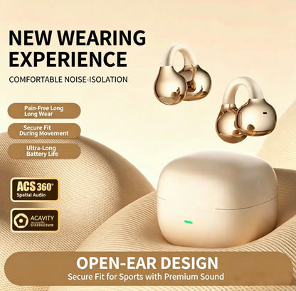 Bluetooth earphones