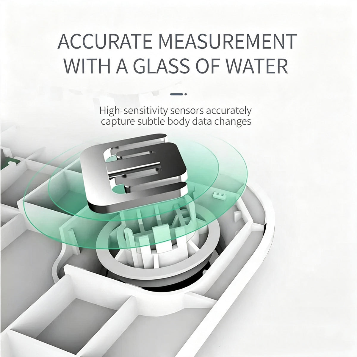 Digital Weight Scale